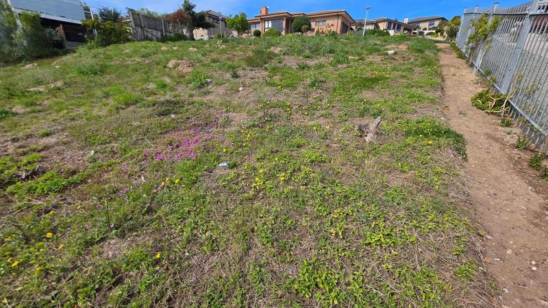 0 Bedroom Property for Sale in Reebok Western Cape